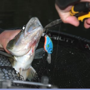 Hardbaits zum Zanderangeln Hardbaits zum Zanderangeln