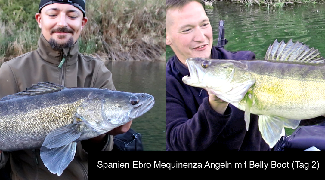 Spanien Ebro Mequinenza Angeln mit Belly Boot (Tag 2)